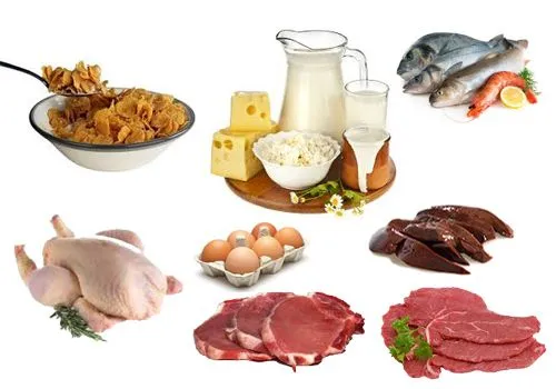 Vitamina B12 o Cianocobalamina propiedades - Dietas Vitamina B12 o Cianocobalamina propiedades - Dietas