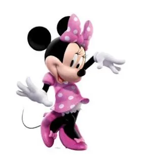 Viva Festa Decor: "MINNIE ROSA"