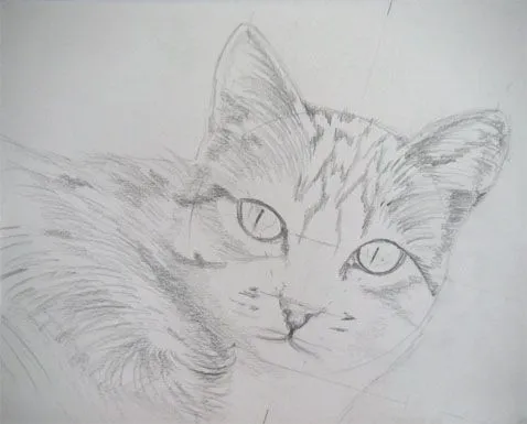 Ojos de gatos para dibujar - Imagui