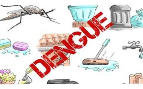 Vive Sano RD: Recomendaciones para prevenir el DENGUE Vive Sano RD: Recomendaciones para prevenir el DENGUE