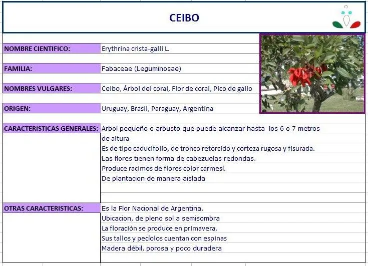 Vivero Buenaventura: FICHA TEMÁTICA DE CEIBO Vivero Buenaventura: FICHA TEMÁTICA DE CEIBO