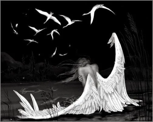 viverotismo-parejas: CORTANDO MIS ALAS