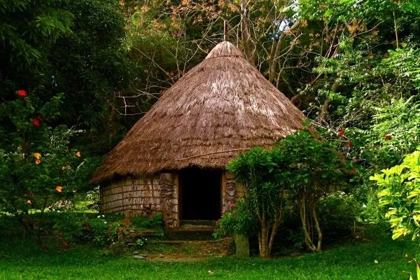 Vivienda indígena (11072)