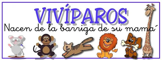 El Bosque Animado: LOS ANIMALES