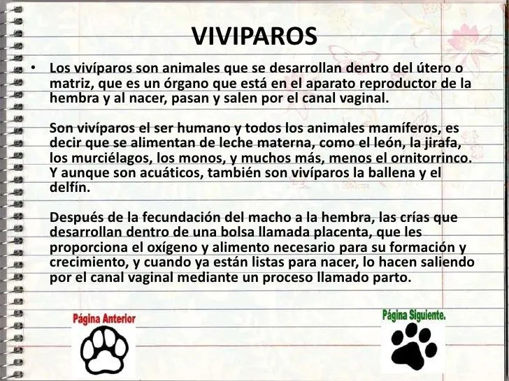 vivparos-ovparos-y-ovovivparos ...