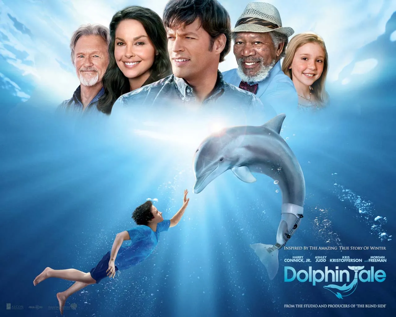 VIZIO BLOG: WINTER EL DELFIN WALLPAPERS DE LA PELICULA VIZIO BLOG: WINTER EL DELFIN WALLPAPERS DE LA PELICULA