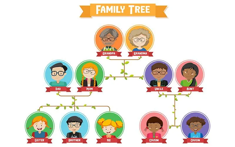 Vocabulario sobre el árbol genealógico en inglés - E4K