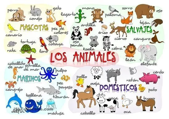 Los animales (ficha de vocabulario) - ¡Olé Lardy!