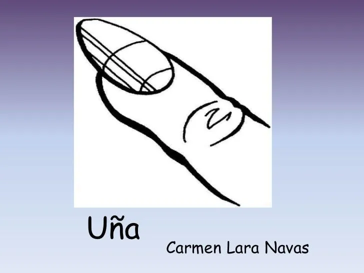 vocal-u-carmen-lara-navas-4- ...