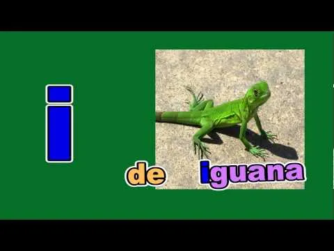 LAS VOCALES Y NOMBRE DE ANIMALES QUE EMPIEZAN CON VOCALES - YouTube