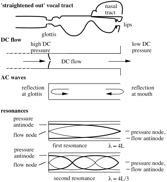 Voice Acoustics: an introduction to the science of speech and singing Voice Acoustics: an introduction to the science of speech and singing