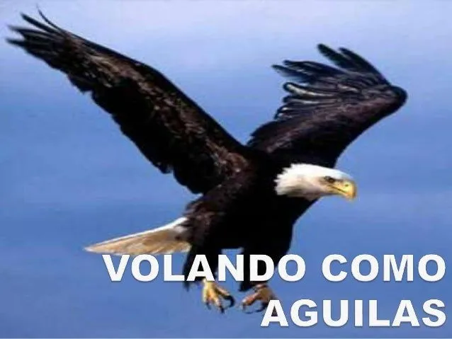 Volando como aguilas