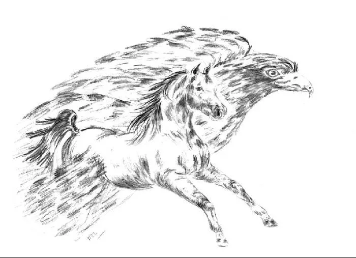 Dibujo de aguilas a lapiz - Imagui
