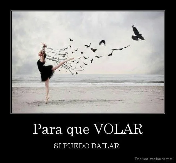 Para que volar si se puede bailar | Frases | Pinterest Para que volar si se puede bailar | Frases | Pinterest