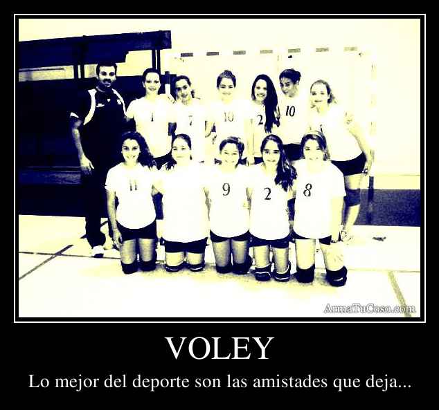 VOLEY
