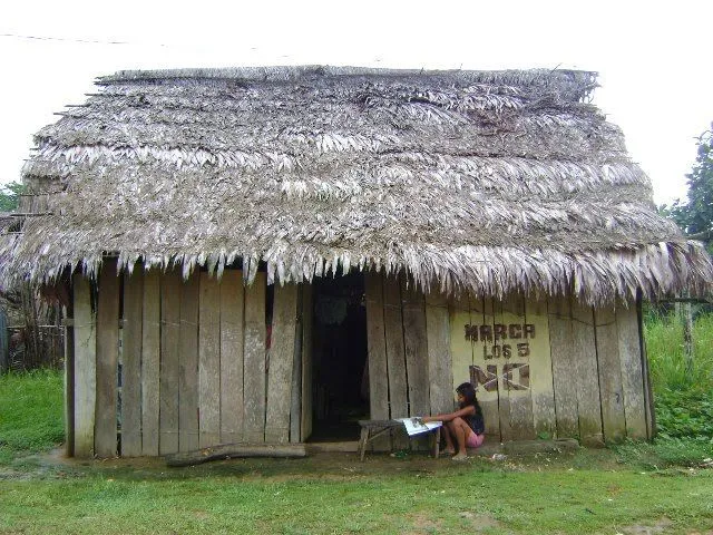 VOZDELAMAZONAS: mayo 2010