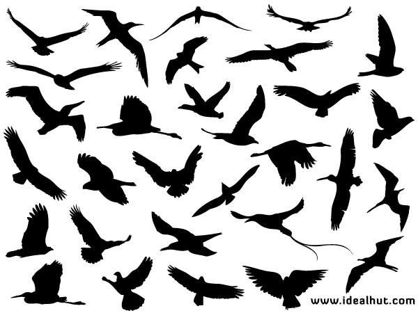 Vuelo gratis siluetas Ave, free vector - 365PSD.com