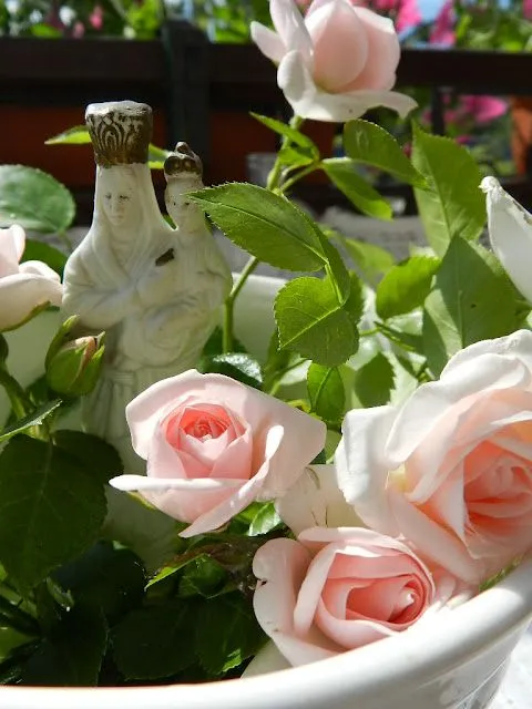 V_V ... Petit Pois...: maggio 2013
