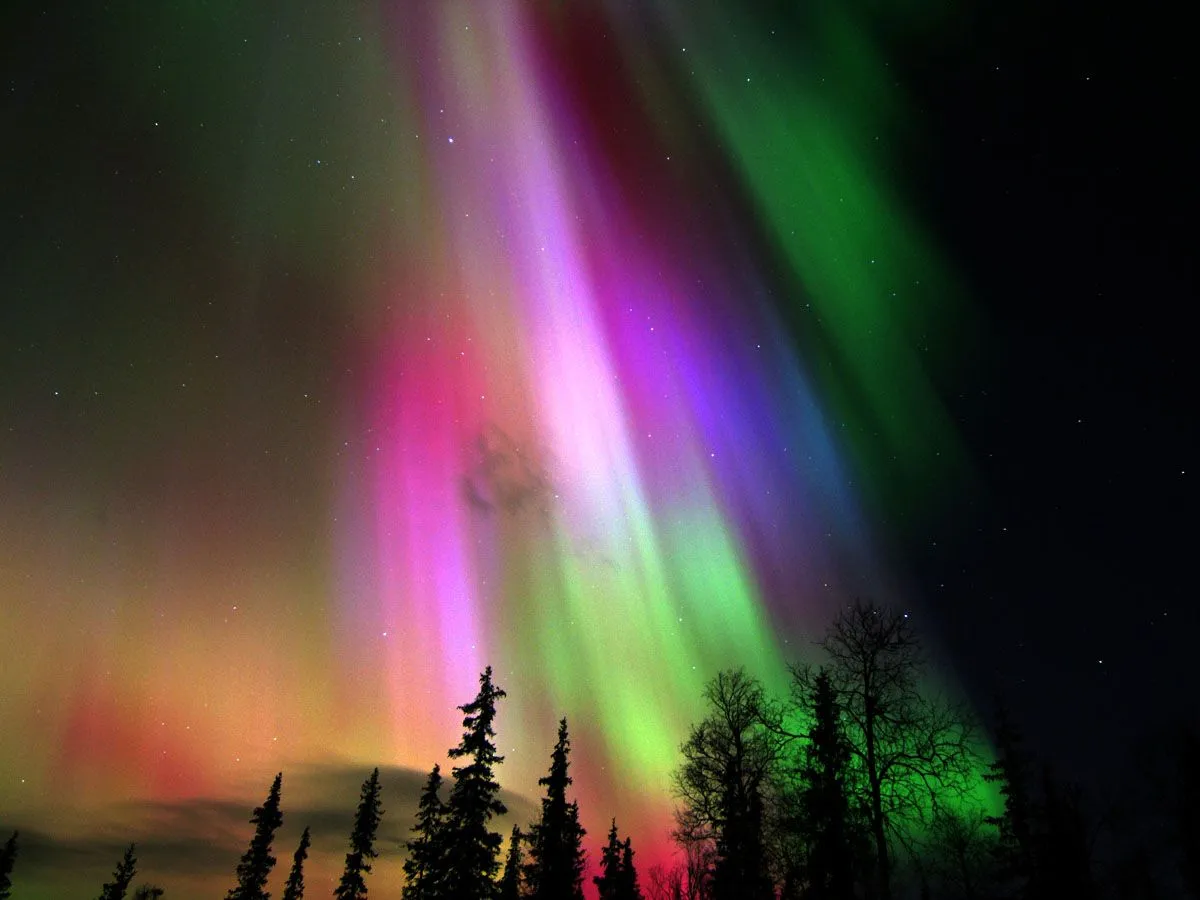 Wall of Secrets: AURORA BOREAL: ESPECTACULO UNICO Wall of Secrets: AURORA BOREAL: ESPECTACULO UNICO