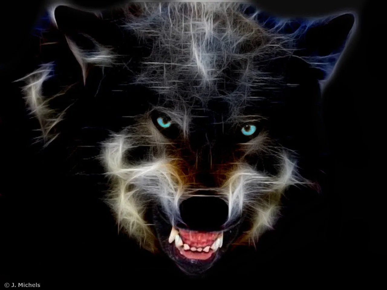Wallpaper HD lobo - Imagui