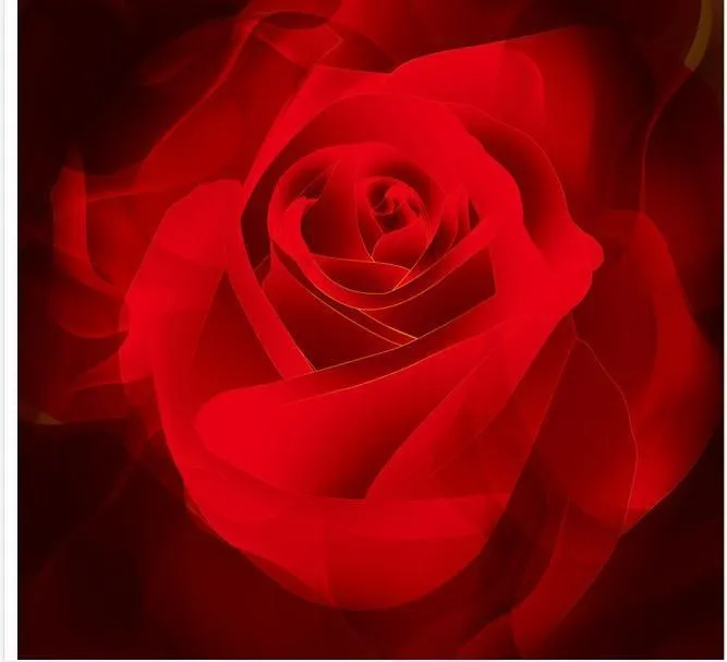 Wallpaper aduana hermosas rosas rojas fondos de pantalla mural ... Wallpaper aduana hermosas rosas rojas fondos de pantalla mural ...