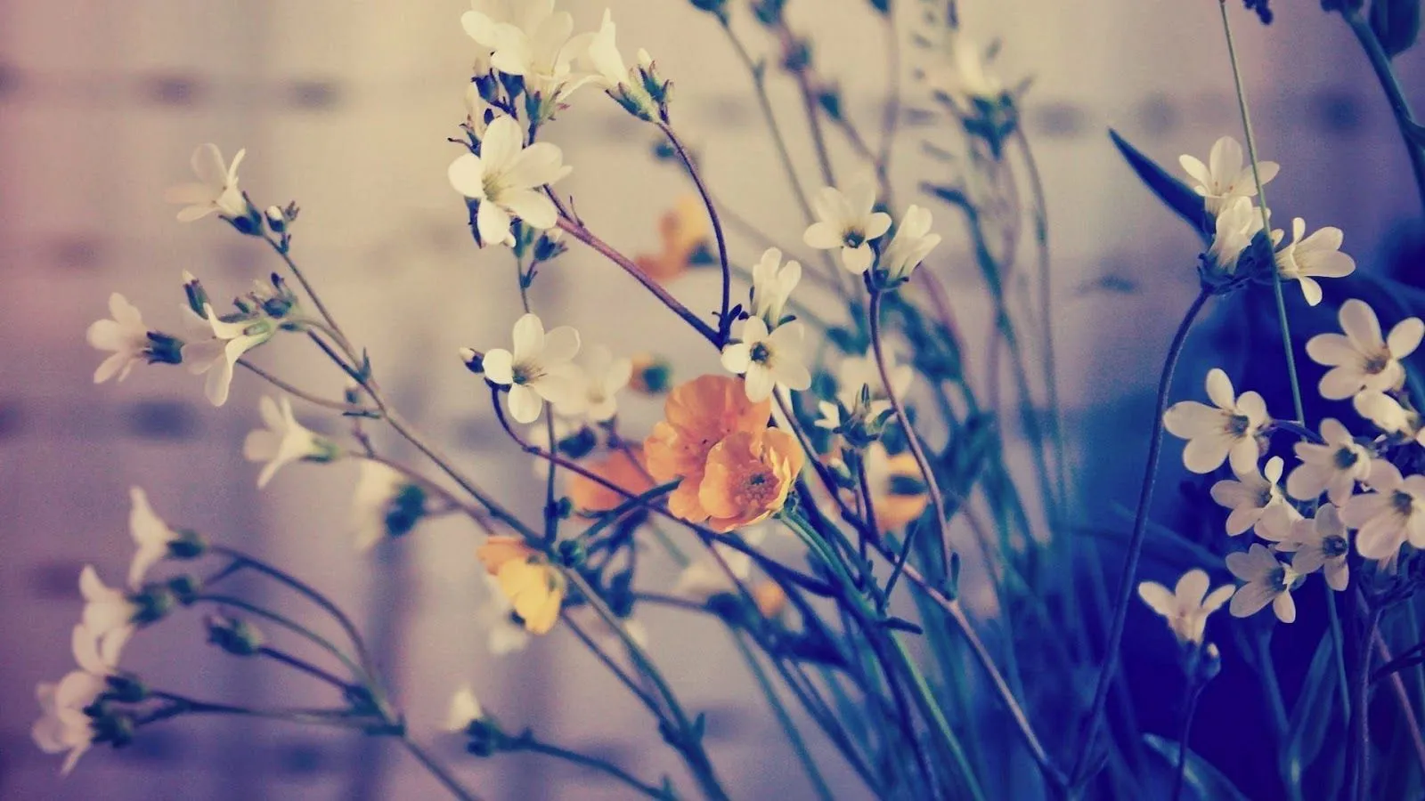 Wallpaper Flores Retro Fondos Imagen Fondo Pictures Wallpaper Flores Retro Fondos Imagen Fondo Pictures