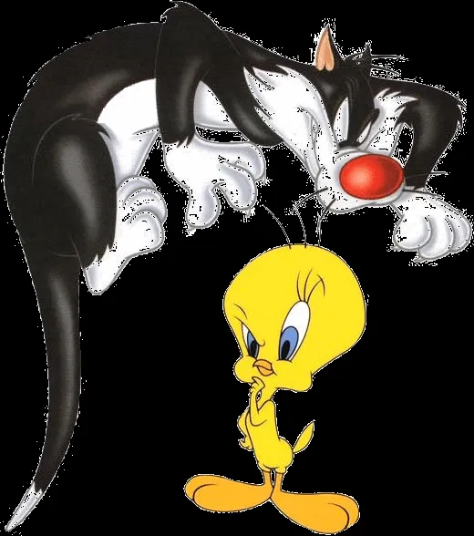 Wallpaper gato silvestre - Imagui