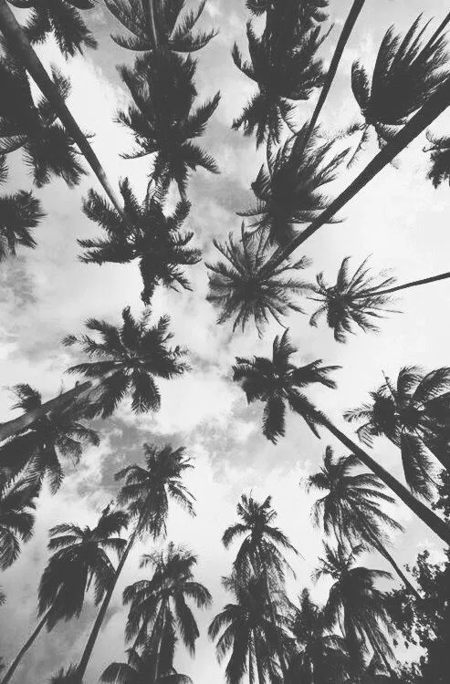 wallpaper iphone 6 tumblr - Google Search | WALLPAPERS | Pinterest ... wallpaper iphone 6 tumblr - Google Search | WALLPAPERS | Pinterest ...