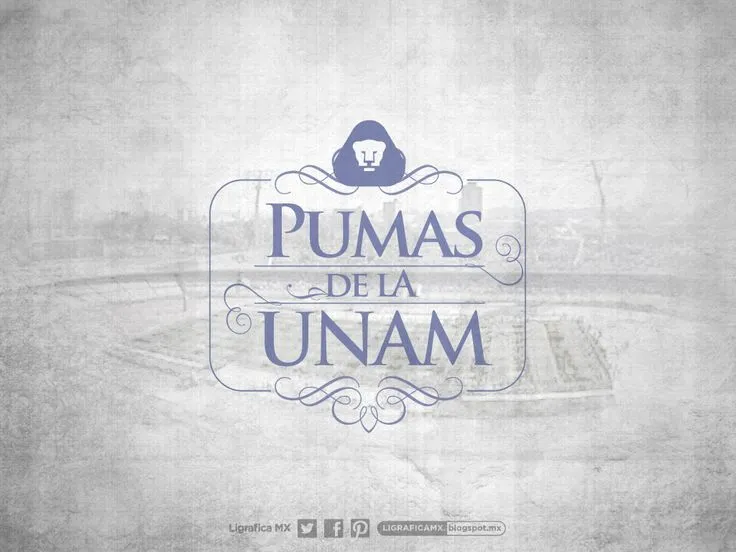 Pumas on Pinterest | Pink Shirts, Logo and Wallpapers Pumas on Pinterest | Pink Shirts, Logo and Wallpapers