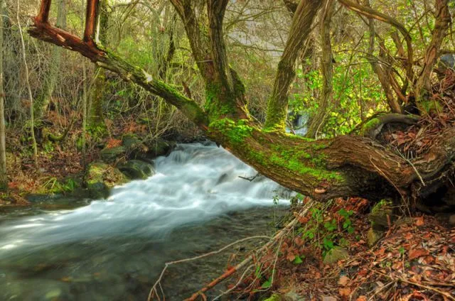 la orilla del rio | fotos de Paisajes naturales y urbanos la orilla del rio | fotos de Paisajes naturales y urbanos