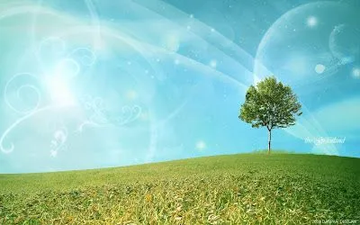 love wallpapers: Arbol y paisaje
