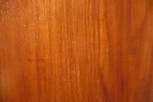 wallpaper pisca pisca - Arte da Crys Bastos