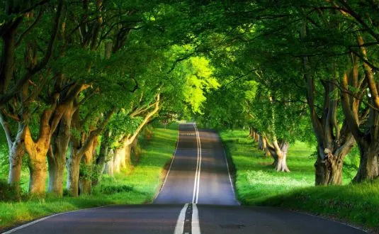 WallpaperFX, tantissimi sfondi per il desktop in alta definizione ... WallpaperFX, tantissimi sfondi per il desktop in alta definizione ...