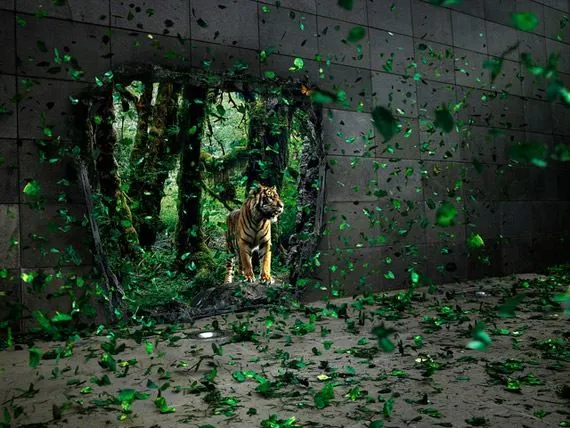 Wallpapers en Alta Resolucion - Taringa!