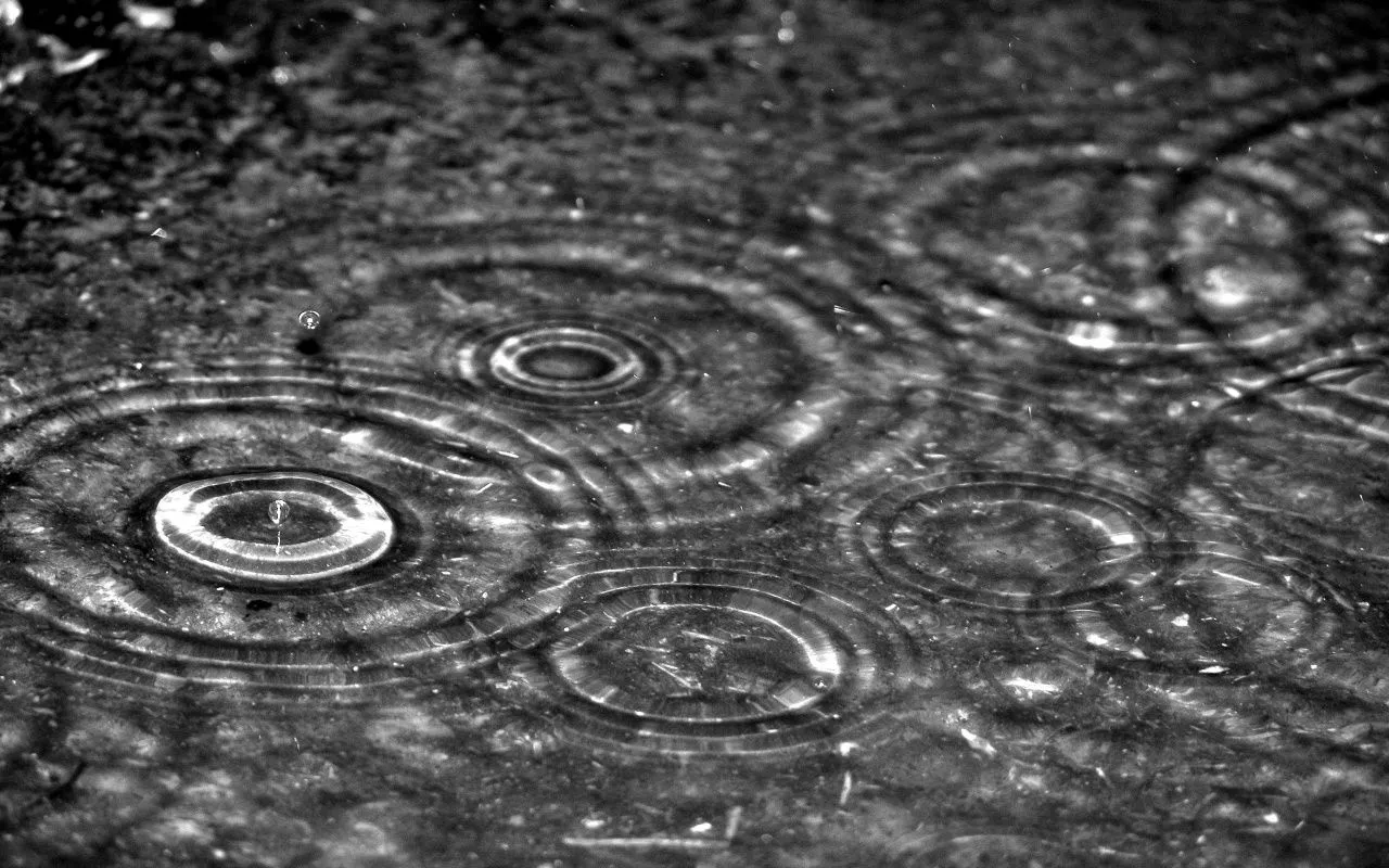 Wallpapers para los amantes de la lluvia. | Internet, software ... Wallpapers para los amantes de la lluvia. | Internet, software ...