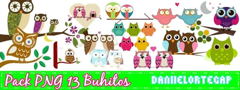 Búhos png - Imagui