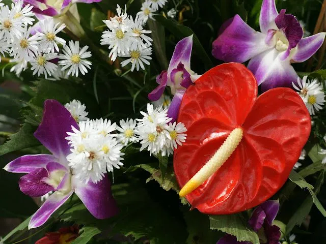 Exotic Wallpapers For Desktop Background | Wallpaper Dekstop Exotic Wallpapers For Desktop Background | Wallpaper Dekstop