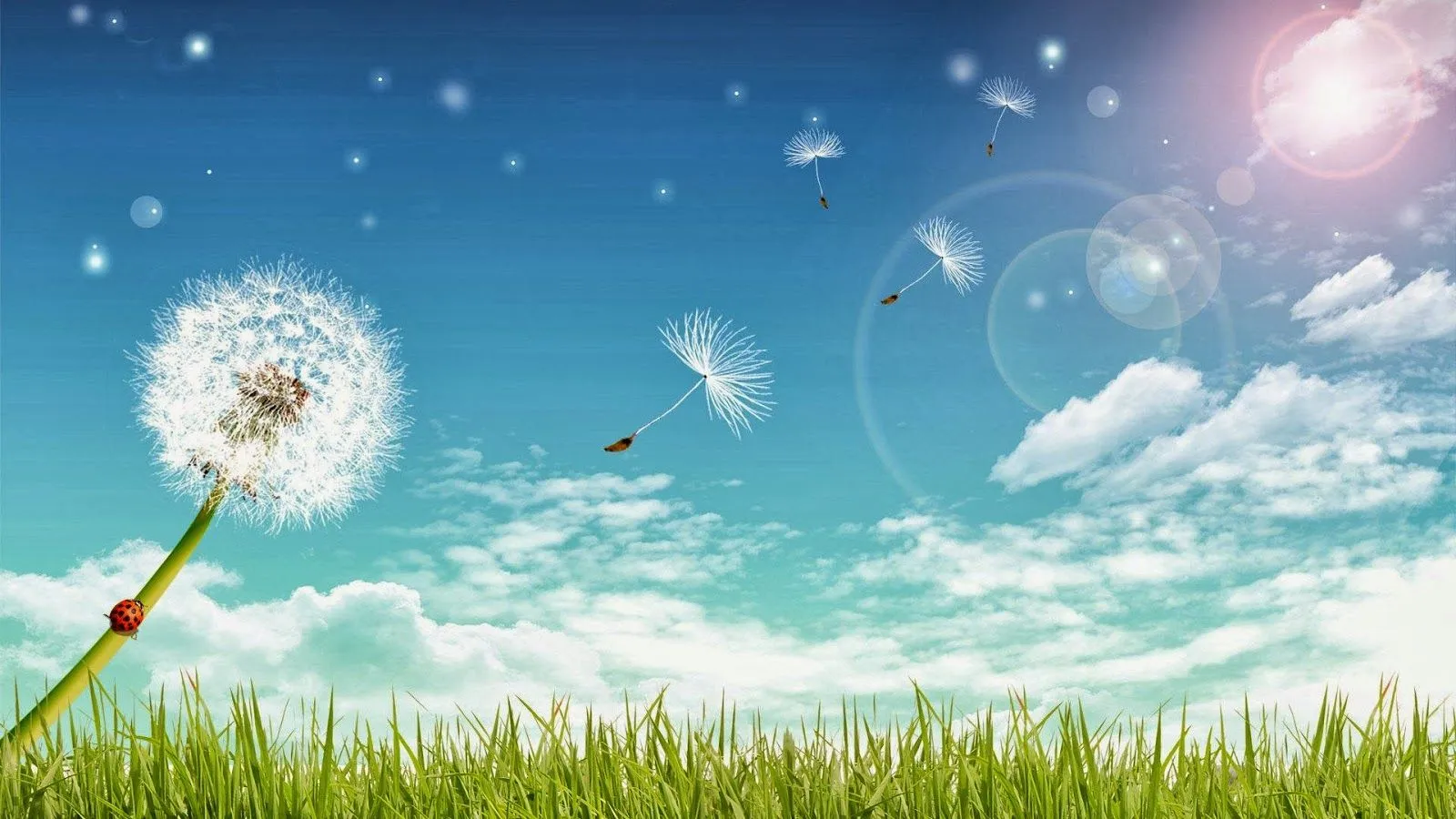 Wallpapers (Fondo de Pantalla) HD - Alta calidad (1366x768 o ...