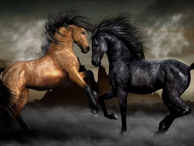 Wallpapers HD: Fondos de pantalla de Caballos - Varias ... Wallpapers HD: Fondos de pantalla de Caballos - Varias ...