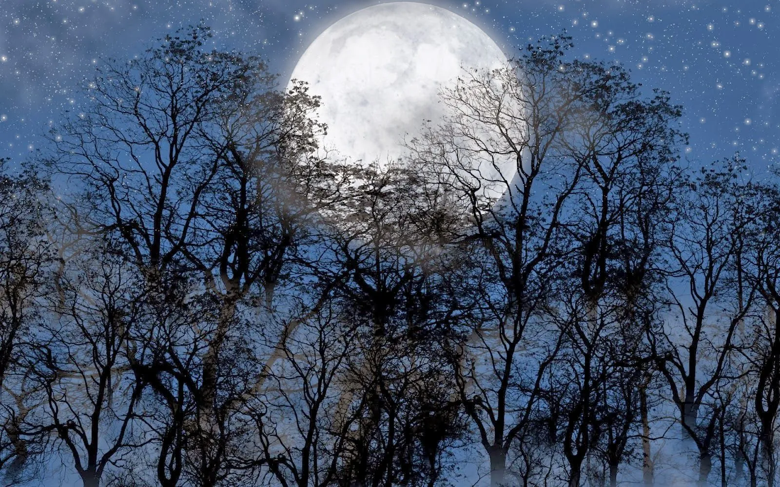 Wallpapers (Fondo de Pantalla) HD - Alta calidad (1366x768 o ... Wallpapers (Fondo de Pantalla) HD - Alta calidad (1366x768 o ...
