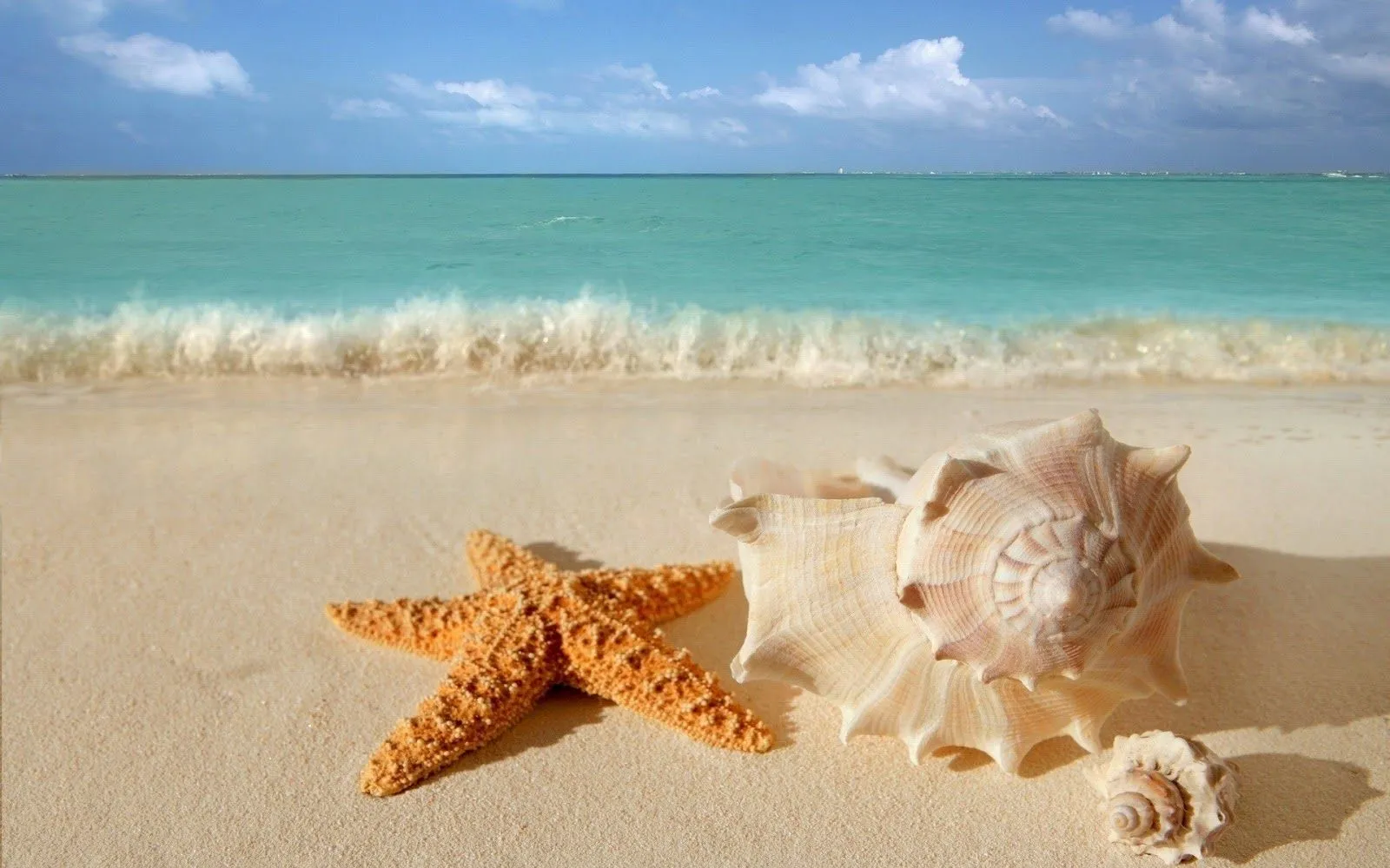 Wallpapers (Fondo de Pantalla) HD - Alta calidad (1366x768 o ... Wallpapers (Fondo de Pantalla) HD - Alta calidad (1366x768 o ...