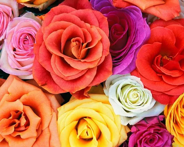 Wallpapers (Fondo de Pantalla) HD - Alta calidad (1366x768 o ... Wallpapers (Fondo de Pantalla) HD - Alta calidad (1366x768 o ...