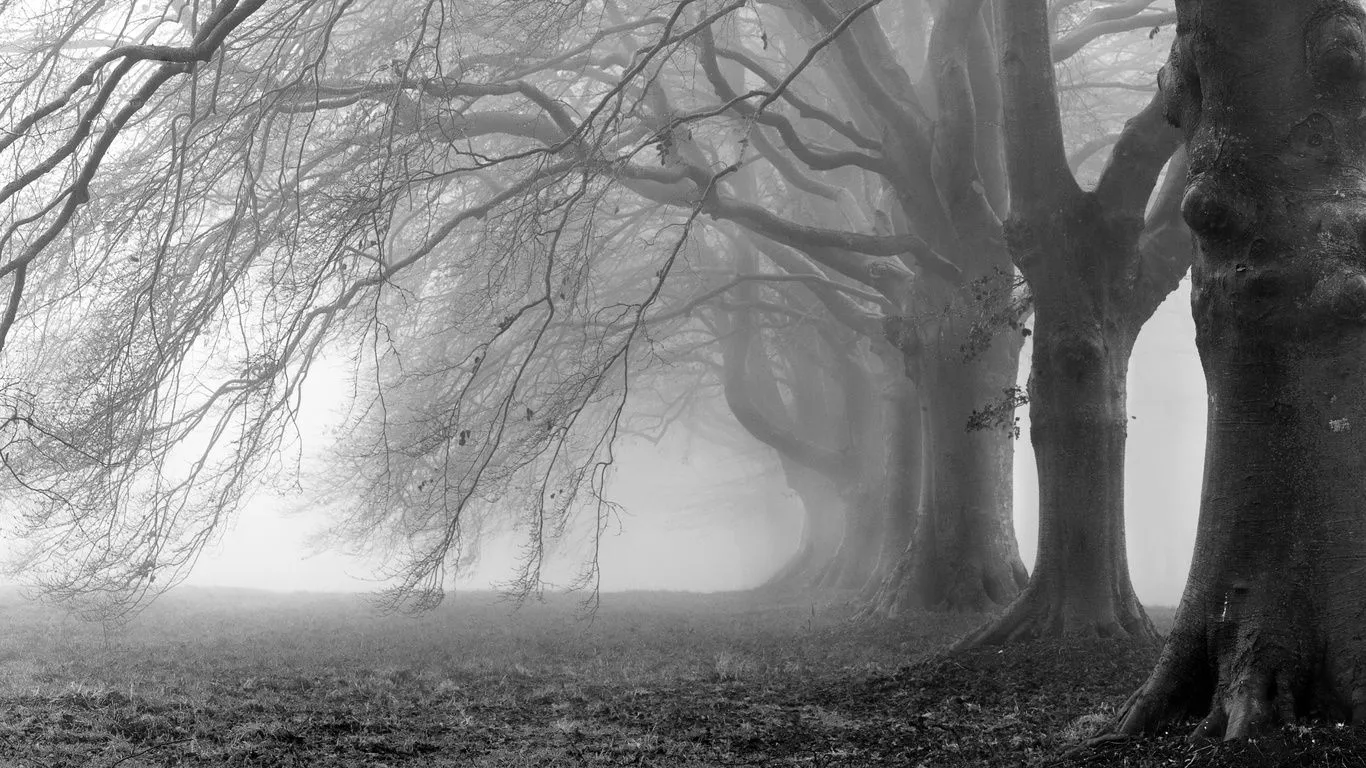 Wallpapers (Fondo de Pantalla) HD - Alta calidad (1366x768 o ... Wallpapers (Fondo de Pantalla) HD - Alta calidad (1366x768 o ...