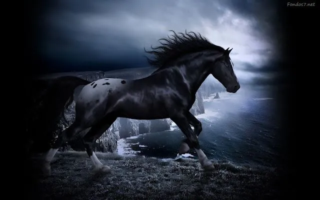 Wallpaper full HD caballos - Imagui