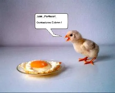 La foto mas triste que jamás has visto... La foto mas triste que jamás has visto...