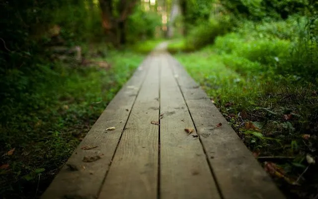 CAMINOS HD - Imagui