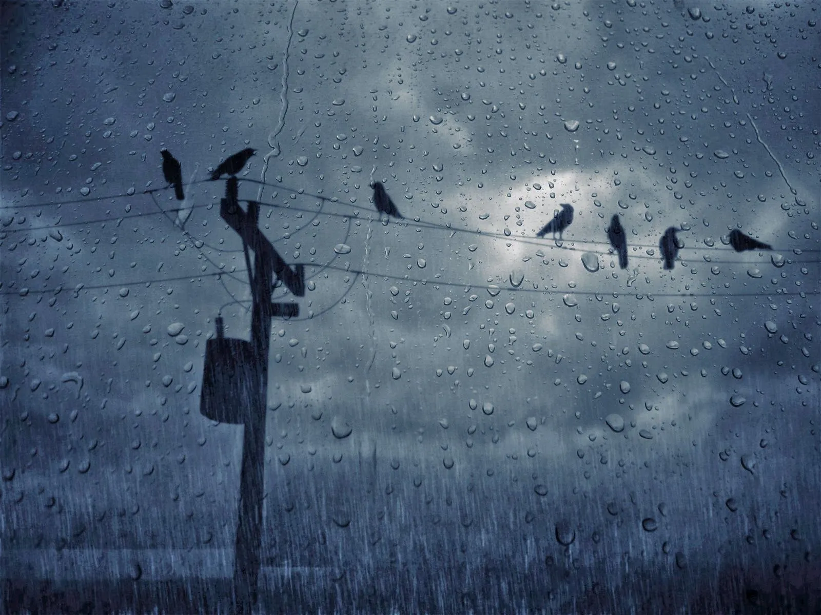Wallpapers HD: 26 Wallpapers excelentes de Lluvia - Fondos de ... Wallpapers HD: 26 Wallpapers excelentes de Lluvia - Fondos de ...