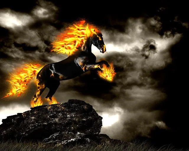 Wallpapers HD: Fondos de pantalla de Caballos - Varias ... Wallpapers HD: Fondos de pantalla de Caballos - Varias ...