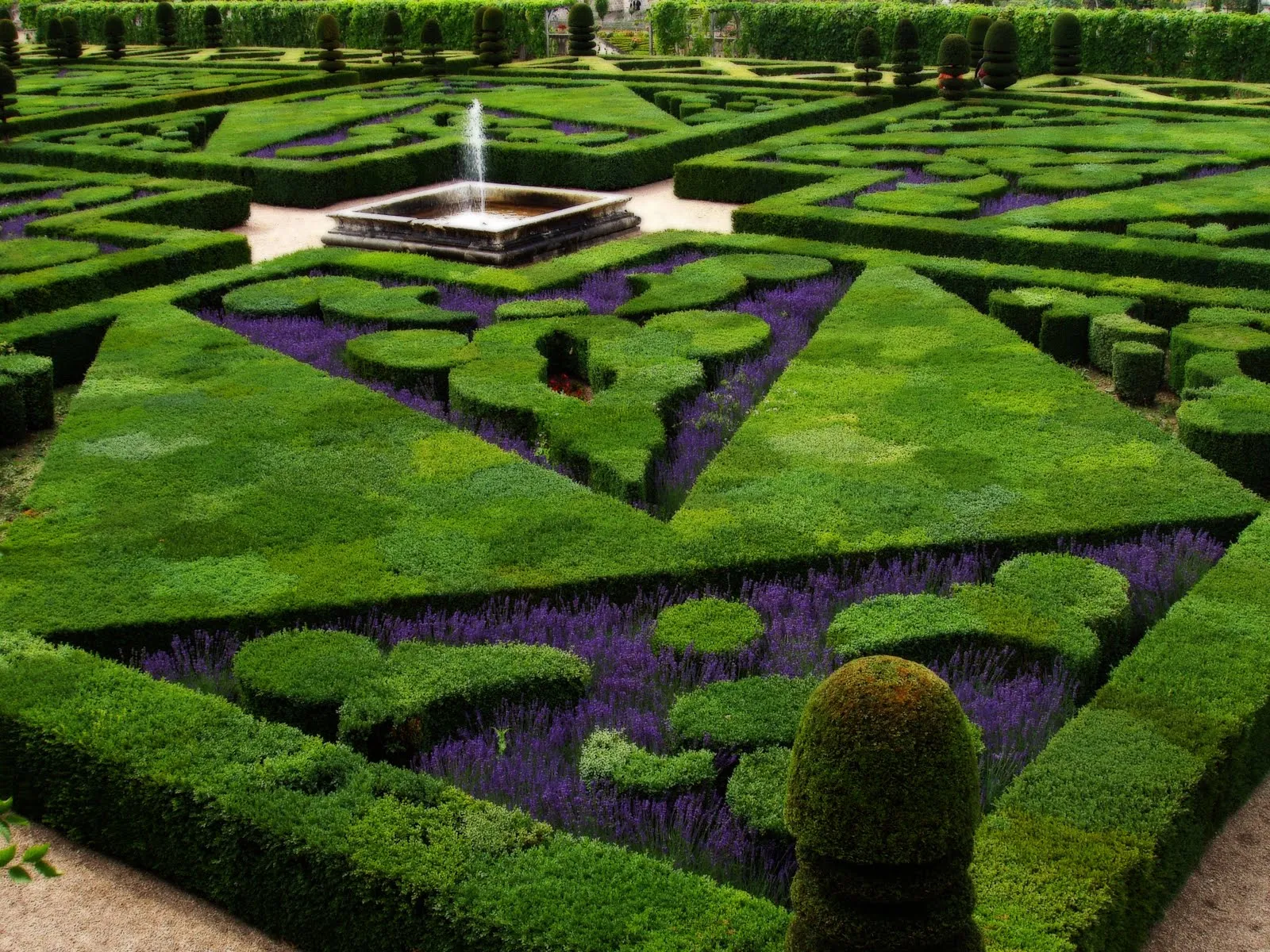 Wallpapers Hd Jardines 1