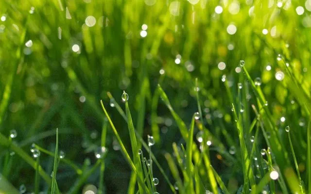 Wallpapers HD de Dias de lluvia y tormenta - parte 2 | Blogosfera Wallpapers HD de Dias de lluvia y tormenta - parte 2 | Blogosfera